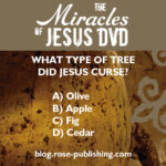 miracles-of-jesus-trivia
